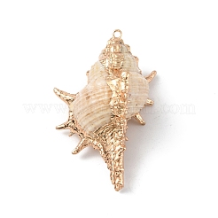 Electroplate Spiral Shell Big Pendants&nbsp;BSHE-C004-06G