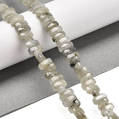 Natural Labradorite Beads Strands&nbsp;G-Q167-B19-01
