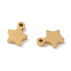 304 Stainless Steel Charms&nbsp;STAS-K306-15B-G