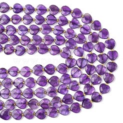 Natural Amethyst Beads Strands&nbsp;G-L654-M05-01