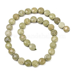 Natural Alashan Agate Beads Strands&nbsp;G-F812-B02-02