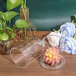 Clear Glass Dome Cover&nbsp;DJEW-WH0039-69B
