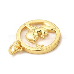 Rack Plating Brass with Plastic Pendants&nbsp;KK-G459-01G-02