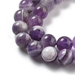 Natural Amethyst Beads Strands&nbsp;G-M445-8MM-01E