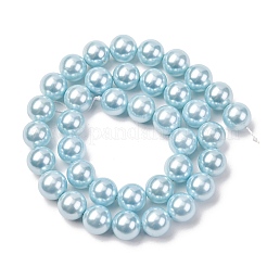 Electroplated Shell Pearl Beads Strands&nbsp;BSHE-G041-10mm-03