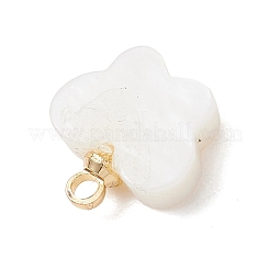 Natural Freshwater Shell Butterfly Charms with Brass Bails&nbsp;PALLOY-JF04894