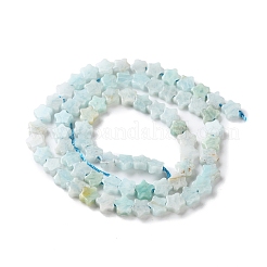 Natural Amazonite Beads Strands&nbsp;G-G085-B45-02