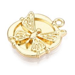 Alloy Pendants&nbsp;PALLOY-N176-53KCG