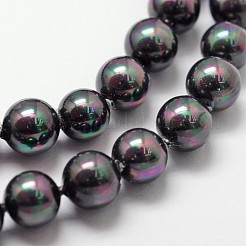 Shell Pearl Bead Strands&nbsp;BSHE-L025-05-6mm