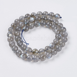 Natural Labradorite Beads Strands&nbsp;G-G448-8mm-04B