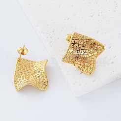Textured 304 Stainless Steel Stud Earrings for Women&nbsp;AM8265