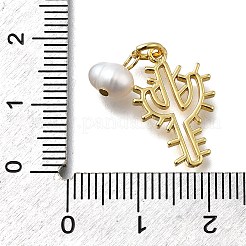 Brass Pendants&nbsp;KK-B132-10G