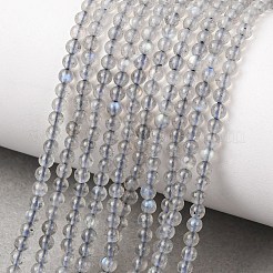 Natural Labradorite Beads Strands&nbsp;G-H358-A13-3mm-01
