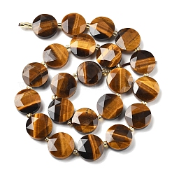 Natural Tiger Eye Beads Strands&nbsp;G-C116-A162-03