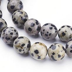 Natural Dalmatian Jasper Beads Strands&nbsp;GSR10mmC004