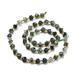 Natural Moss Agate Beads Strands&nbsp;G-P463-10