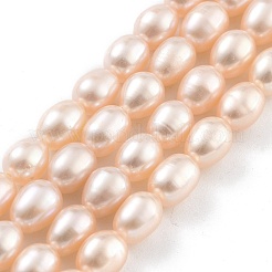 Natural Cultured Freshwater Pearl Beads Strands&nbsp;PEAR-P062-06G-X