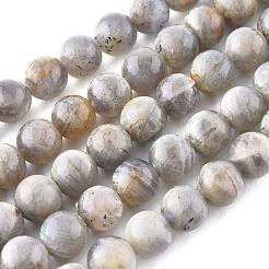 Natural Labradorite Beads Strands&nbsp;X-G-G212-8mm-23