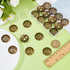 20Pcs Brass Bead Caps&nbsp;FIND-FH0012-06AB