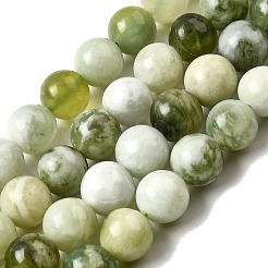 Natural New Jade Beads Strands&nbsp;G-K340-A01-12mm