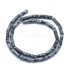Natural Snowflake Obsidian  Beads Strands&nbsp;G-F631-D14