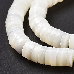 Natural Trochid Shell/Trochus Shell Beads Strands&nbsp;X-SSHEL-L016-13E