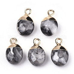 Natural Map Stone/Picasso Stone/Picasso Jasper Charms&nbsp;X-G-N326-58B