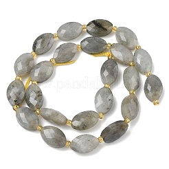 Natural Labradorite Beads Strands&nbsp;G-A295-A01-01