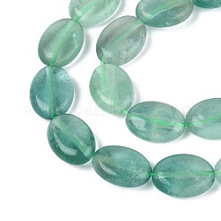 Natural Green Fluorite Beads Strands&nbsp;G-T142-62