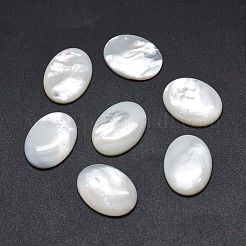 Shell Cabochons&nbsp;SSHEL-E567-27A