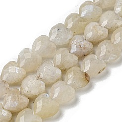 Natural Rainbow Moonstone Beads Strands&nbsp;G-P544-E06-01