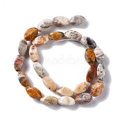 Natural Crazy Lace Agate Beads Strands&nbsp;G-L243A-20