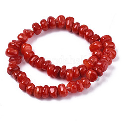 Natural Freshwater Shell Beads Strands&nbsp;SHEL-S278-041