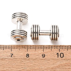 Tibetan Style Alloy Pendants&nbsp;AL-CBA5212-04AS