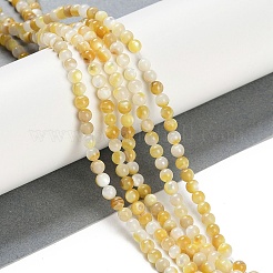 Natural Trochus Shell Beads Strands&nbsp;BSHE-H109-12B