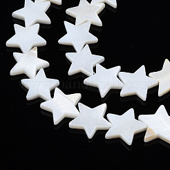Natural Freshwater Shell Beads Strands&nbsp;LS-SHEL-S278-01D-01