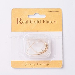 Brass Earring Hooks&nbsp;X-KK-T038-207G