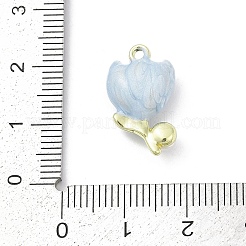 Alloy Enamel Pendants&nbsp;PALLOY-R151-45G-03