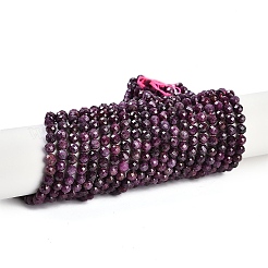 Natural Ruby Beads Strands&nbsp;G-P553-G01-04