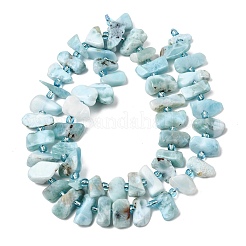 Natural Larimar Beads Strands&nbsp;G-L649-A08-01