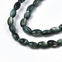 Natural Freshwater Shell Beads Strands&nbsp;SHEL-N003-25-B01