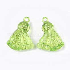 Transparent Acrylic Pendants&nbsp;TACR-S133-058