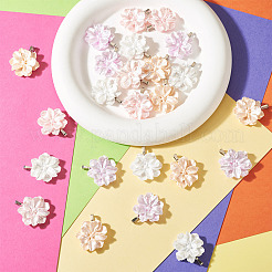 24Pcs 4 Colors Resin Pendants&nbsp;PALLOY-TAC0303