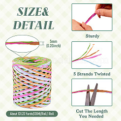 Raffia Twine Yarn&nbsp;OCOR-TAC0025-009B