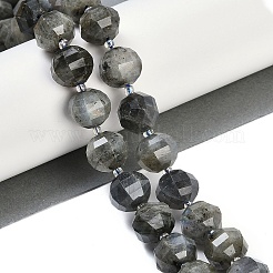 Natural Labradorite Beads Strands&nbsp;G-G182-B02-07