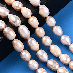 Natural Cultured Freshwater Pearl Beads Strands&nbsp;PEAR-N012-08L