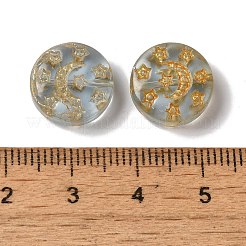 Transparent Lampwork Beads&nbsp;LAMP-P065-04A-03
