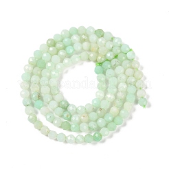 Natural Chrysoprase Beads Strands&nbsp;G-P542-A04-02