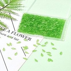 600Pcs Transparent Acrylic Charms&nbsp;MACR-FS0002-21