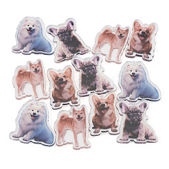 12Pcs 4 Styles Printed Acrylic Pendants&nbsp;OACR-TA0004-14B